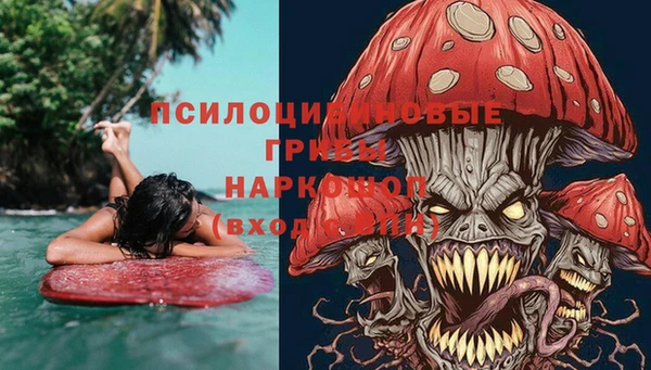 молекула духа Дмитровск