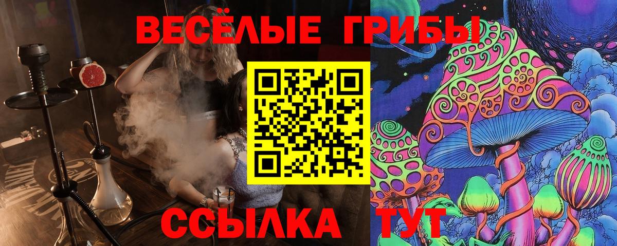 Саратов  Галлюциногенные грибы ЛСД  купить   Вход с VPN 
