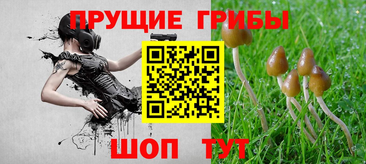 Галлюциногенные грибы Cubensis Саратов